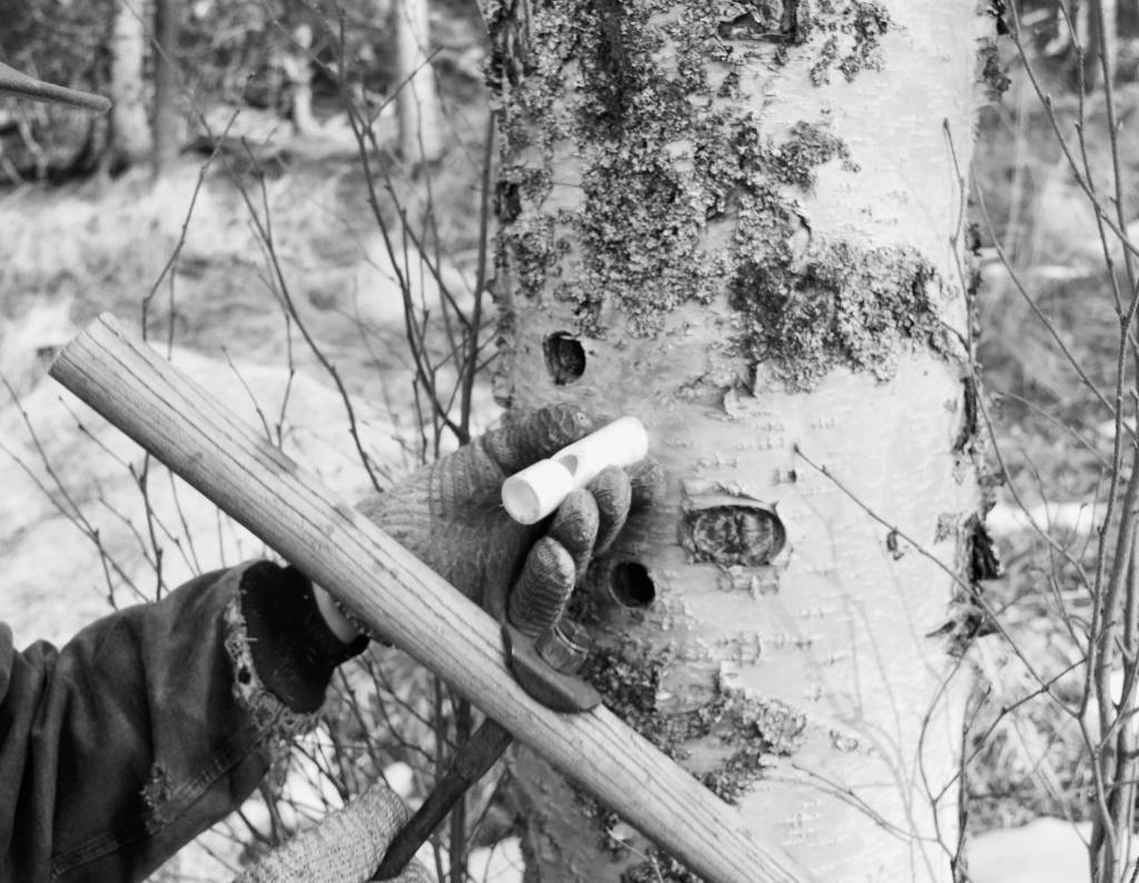 Photo by Jennifer Tarnacki After a hole is drilled, a drain called a spiel is inserted. This one is made of plastic tubing.