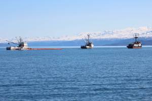 Photo by Megan Pacer/Homer News Three fishing vessels navigate a boom around Kachemak Bay during annual oil spill response training Saturday, April 14 in Homer. Training organizers set out red buoys to simulate areas on oil slick the boats needed to aim for.