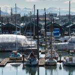 Juneau Empire File Don Statter Memorial Boat Harbor in Auke Bay in July 2015 as visitors wait to board whale watching vessels and fishing boats are double and triple parked along the floats.