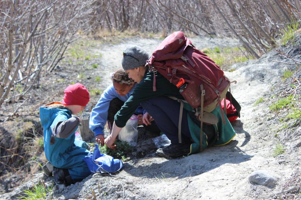 Wilderness Explorers Ruby Gervais and Jaelynn Kennon and the program coordinator, Damara Burnett, identify a patch of spring growth along Diamond Creek Trail on Wednesday, May 2. Samples of edible plants were collected and prepared for a snack later in the day. (Photo by McKibben Jackinsky)