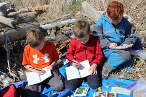 Wilderness Explorers (left to right) Sawyer Johnson, Wylder Johnson and Ruby Gervais enter into their journals on Wednesday, May 2, sketches of edible plants collected earlier in the day along Diamond Creek Trail. (Photo by McKibben Jackinsky)