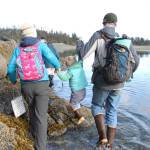 Britni and Casey Siekaniec hoist their daughter, Hadley, over some rocks on a guided tour of the Peterson Bay beach Thursday, May 24, 2018 across Kachemak Bay from Homer, Alaska. (Photo by Megan Pacer/Homer News)