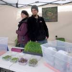 Market opens with all the brass