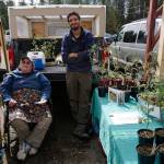 Market opens with all the brass