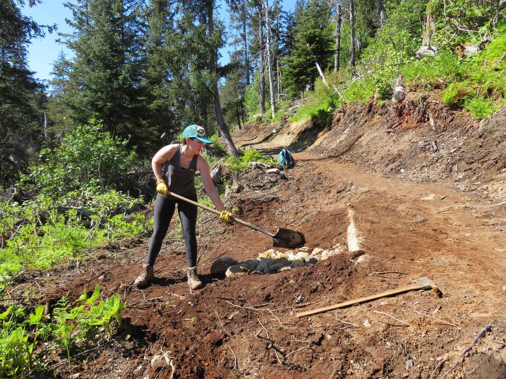 Above: A Trails Day volunteer works on the Saddle Trail on Saturday, June 2 across Kachemak Bay from Homer. (Photo by Clark Fair) Right: A volunteer works on the Saddle Trail during Trails Day on Saturday, June 2 across Kachemak Bay from Homer. (Photo courtesy Christina Whiting) For the full story, see Page 9.