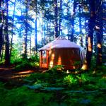 Tutka Bay Yurt 2, one of the many yurts available to rent, sits in its enclave in the forest of Kachemak Bay State Park August, 2017 (Photo by Jennifer Tarnacki)