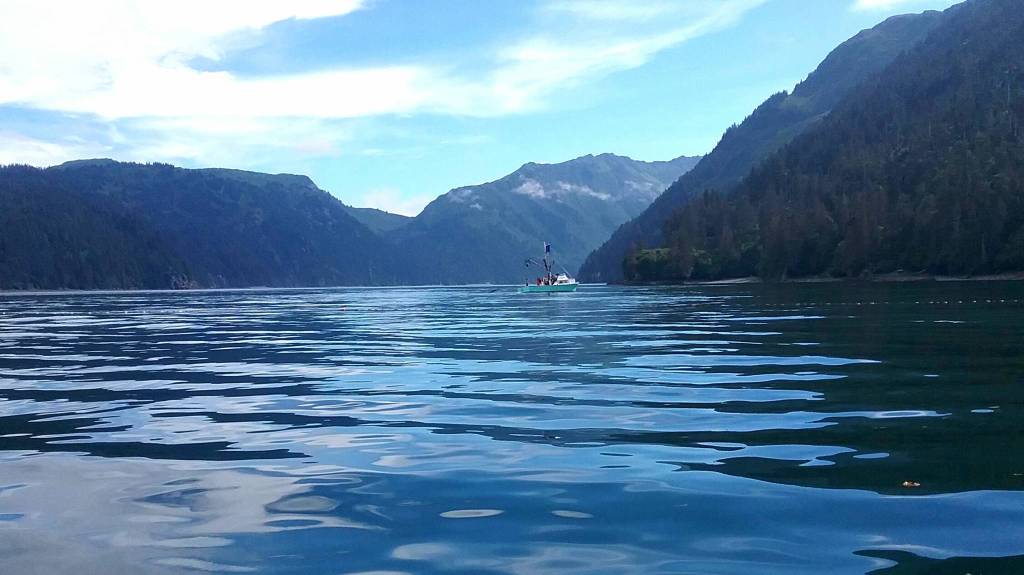 Photo by Jennifer Tarnacki A water taxi heads into Tutka Bay to access the yurt across the bay in 2017 in Kachemak Bay State Park.