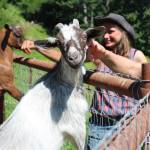 A goat leans out of its pen for a scratch on Friday, July 6, 2018 at the Dean family farm off East End Road near Homer, Alaska. (Photo by Megan Pacer/Homer News)