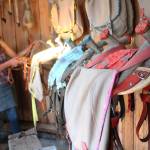 Ranja Dean shows members of a farm and art studio tour the packs she made for the farms three donkeys, on Friday, July 6, 2018 at her home off East End Road near Homer, Alaska. With the help of her husband, Jeff, Dean customized the packs specifically for each donkey. (Photo by Megan Pacer/Homer News)
