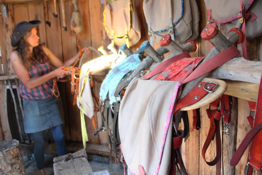 Ranja Dean shows members of a farm and art studio tour the packs she made for the farms three donkeys, on Friday, July 6, 2018 at her home off East End Road near Homer, Alaska. With the help of her husband, Jeff, Dean customized the packs specifically for each donkey. (Photo by Megan Pacer/Homer News)
