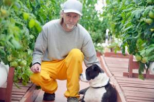 <span class="neFMT neFMT_PhotoCredit">Photo by Erin Thompson/Peninsula Clarion</span>                                Inmate Alan Newby pets Hailey, a boxer mix being rehabilitated through the prisons Shelter Pet Obedience Training (SPOT) program, on June 28 at the Wildwood Correctional Complex in Kenai, Alaska. The program pairs up inmates and abandoned dogs, who later go up for adoption.