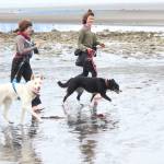 Marie Lapointe (left) and Ashley Davidson (right) run to the finish line of the Chariots of Fur 5K with their dogs Freyja and Z, respectively, Saturday, July 14, 2018 near Mariner Park in Homer, Alaska. (Photo by Megan Pacer/Homer News)