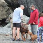 Some dogs and their owners interact at the finish line of this years Chariots of Fur 5K race, held Saturday, July 14, 2018 at Mariner Park in Homer, Alaska. The race benefits Homer Animal Friends. (Photo by Megan Pacer/Homer News)