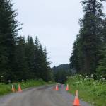 Cones on Dorothy Drive mark the area where neighbors at the end of the rural road plan to vacate the last 2,000 feet and turn it into a private, gated road. After this photo was taken on July 9, 2018, builders put in a circular turn around on the road downhill from East Skyline Drive in Homer, Alaska. (Photo by Michael Armstrong/Homer News)