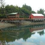 A boardwalk runs along Ismailof Island in Halibut Cove, Alaska, in this 2012 file photo. (Photo by Michael Armstrong/Homer News)