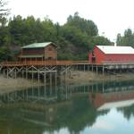 A boardwalk runs along Ismailof Island in Halibut Cove, Alaska, in this 2012 file photo. (Photo by Michael Armstrong/Homer News)