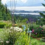 Flower beds in terraces frame a view of the Homer Spit at Joan Splinters garden on Reber Road off West Hill Road on July 30, 2017 in Homer, Alaska. Her garden was featured in the Homer Garden Clubs 2017 Summer Garden Tours. (Photo by Michael Armstrong/Homer News)