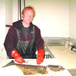 Johnny Kaiser, Fish Cutter