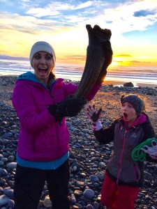Another steppe bison horn found in Homer