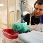 Vincent “Vin” Chavarrir prepares to clean a patient’s room at Central Peninsula Hospital in Soldotna. Chavarrir is an intern with Project SEARCH.