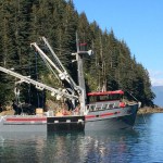 Above, this 58-foot seiner was built in Homer in 2013 for Gus Linville of Seward by Freddy’s Marine, as well as “nearly all of Homer’s marine trades,” according to Eric Engebretsen of Bay Weld Boats. -Photo provided
