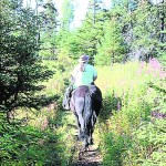 The Alaska backcountry’s beauty changes with the seasons, and  is something Wilhoit is willing to share no matter the time of year.-Photo by McKibben Jackinsky, Homer News