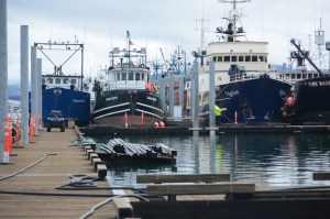 Workers run cable earlier this month at the new harbor floats at CC to JJ floats. -Photo by Michael Armstrong, Homer News