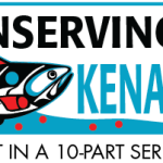 King in cycle: Salmon populations follow cycles of boom and bust