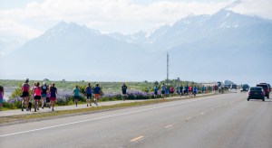 More than 200 runners and walkers soak up the sun during the 2014 10K Run to the Bay Spit Run on Saturday.-Photo by Heather Ericson