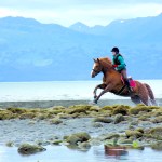 Aurora Shadle, 15, rides a tall Holsteiner named Charlie over a jump-Photo by Aaron Carpenter