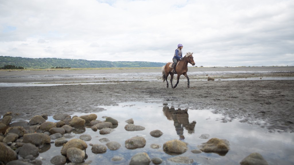 Photo by Aaron Carpenter