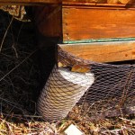 In May, the Sonatube foundation beneath Gee Denton’s cabin began tipping downhill.