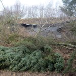 A jumble of mud, spruce trees, and alder bushes lies at the bottom of a mud slide on Kachemak Drive that took out a section of the road, top.-Photo by Michael Armstrong, Homer News