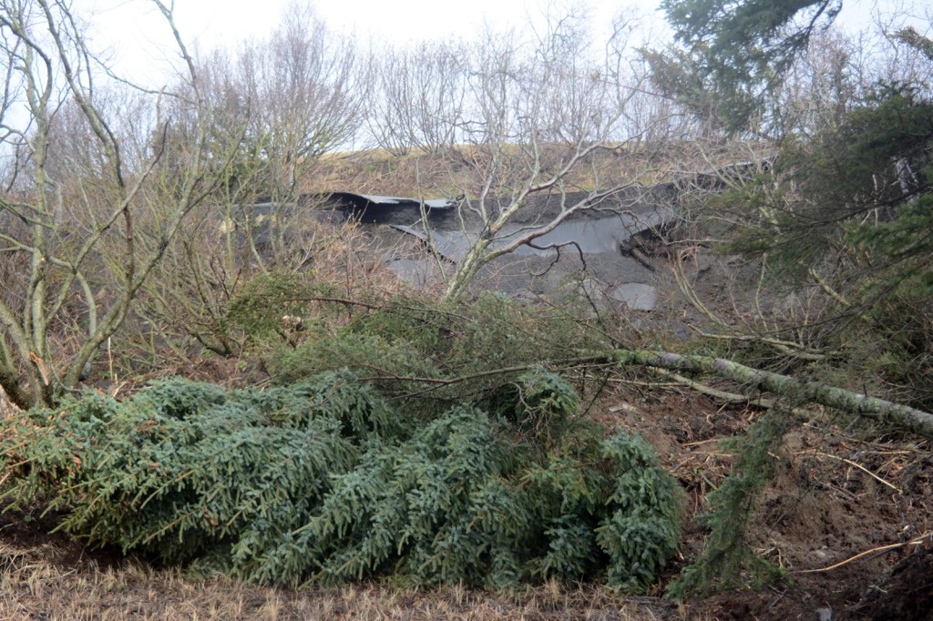 A jumble of mud, spruce trees, and alder bushes lies at the bottom of a mud slide on Kachemak Drive that took out a section of the road, top.-Photo by Michael Armstrong, Homer News
