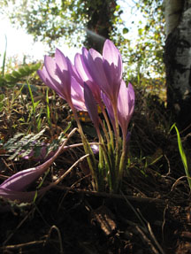 Photo by Christina Whiting