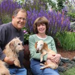 Don Felton and Joan Splinter, with helpers Henry and Schnitzel, have spent little more than a year creating their garden on West Hill.-Photo by McKibben Jackinsky, Homer News