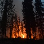 Crews backburned portions of the Kenai National Wildlife Refuge Wednesday May 21, in order to keep the Funny River fire from burning across Funny River Road in Funny River, Alaska. -Photo by Rashah McChesney, Morris News Service