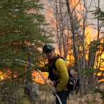 Central Emergency Services firefighter Spencer Mclean works to contain a portion of the 156,041 acre Funny River Horse Trail wildfire near the Funny River neighborhood Sunda yMay 25, 2014 in Soldotna, Alaska.-Photo by Rashah McChesney/Morris News Service-Peninsula Clarion