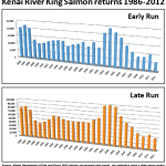 King in cycle: Salmon populations follow cycles of boom and bust