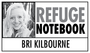 Breeding Bird Survey conducted by listening to songs