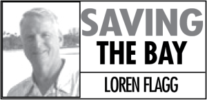 George Ferris incident helped save bay