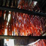 Salmon strips dry at a fish camp along the Yukon River. More than 40 villages across Alaska and Canada depend on king salmon for subsistence.-Associated Press file photo