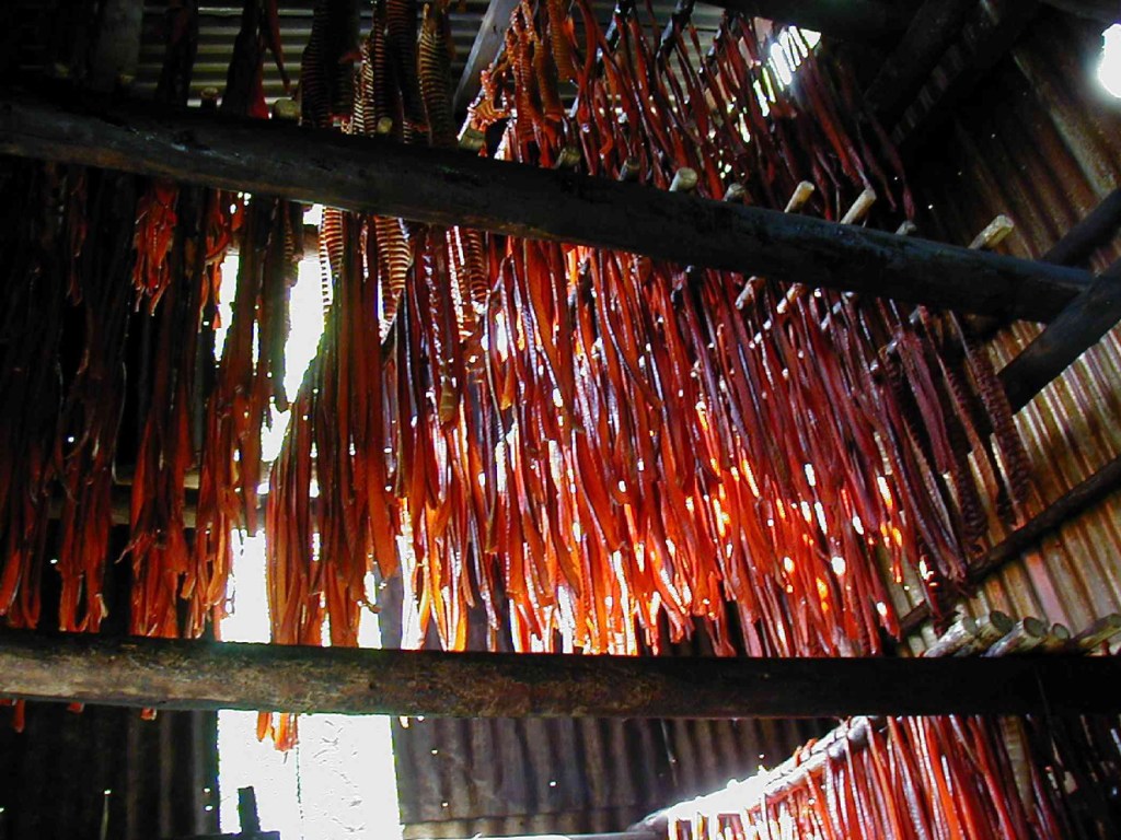Salmon strips dry at a fish camp along the Yukon River. More than 40 villages across Alaska and Canada depend on king salmon for subsistence.-Associated Press file photo