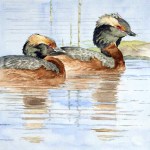 Kaufman’s watercolor paintings often feature birds,