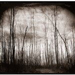 Adam Ottavi, a recent artist in residence at Bunnell Street Arts Center, sold his photograph, “Burnt Alaska,” to the Alaska State Museum.-Photo provided