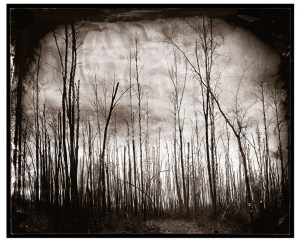 Adam Ottavi, a recent artist in residence at Bunnell Street Arts Center, sold his photograph, “Burnt Alaska,” to the Alaska State Museum.-Photo provided