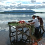 Above, Nancy Delkittie, left, and Jessica Hay process salmon at a fish camp. Top, a map shows Dena’ina country.-Photo by Robin La Vine, Alaska Department of Fish and Game