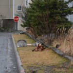 Two lamp posts on the road to the Land’s End Lodgings condos were knocked down over the weekend.-photo by Michael Armstrong, Homer News