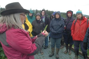 Nancy Lee-Evans, far left, talks to participants in the June 12 Thriving Thursday class about the medicinal uses of horsetail. The classes are presented by Seldovia Village Tribe Health and Wellness.-Photo by Shannon Reid