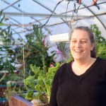 Sonja Martin Young of Alaska Aquaponics stands before beds of vegetables at her greenhouse.-Photo by Michael Armstrong, Homer News
